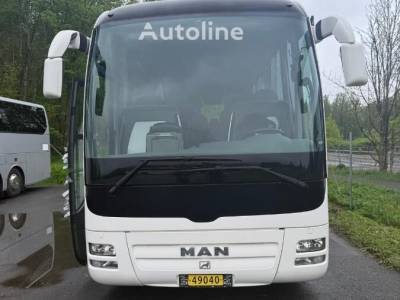 MAN LION COACH